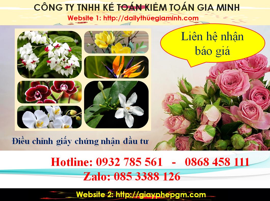 Dịch vụ điều chỉnh giấy chứng nhận đầu tư tại Nam Định 5 Chi phí điều chỉnh giấy chứng nhận đầu tư tại Nam Định