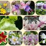 Dịch vụ điều chỉnh giấy chứng nhận đầu tư tại Quận 1 6 Muốn điều chỉnh giấy chứng nhận đầu tư tại Quận 1