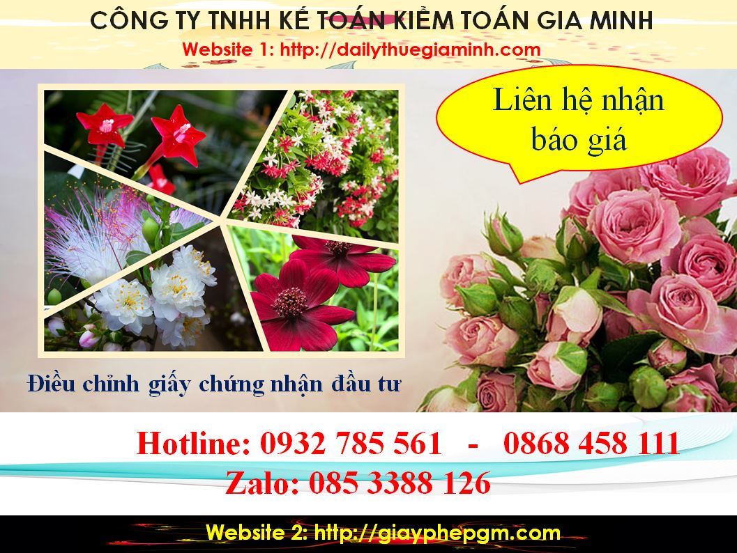 Dịch vụ điều chỉnh giấy chứng nhận đầu tư tại Quận 1 5 Chi phí điều chỉnh giấy chứng nhận đầu tư tại Quận 1