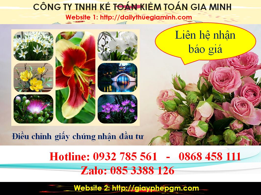 Dịch vụ điều chỉnh giấy chứng nhận đầu tư tại Quận 12 5 Chi phí điều chỉnh giấy chứng nhận đầu tư tại Quận 12