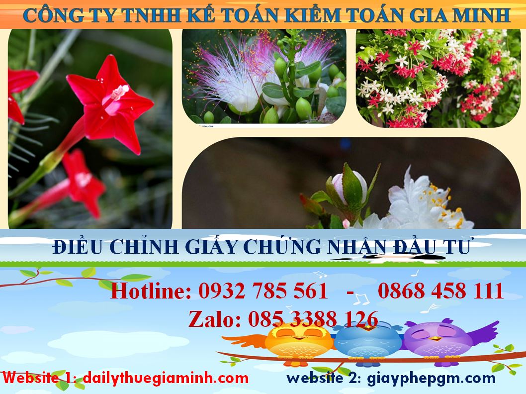 Dịch vụ điều chỉnh giấy chứng nhận đầu tư tại Quận 2 4 Thủ tục điều chỉnh giấy chứng nhận đầu tư tại Quận 2