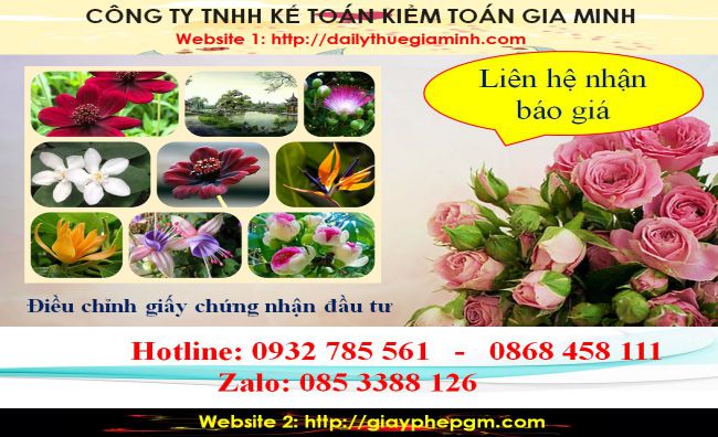 Dịch vụ điều chỉnh giấy chứng nhận đầu tư tại Quận 2 5 Chi phí điều chỉnh giấy chứng nhận đầu tư tại Quận 2