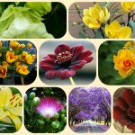 Dịch vụ điều chỉnh giấy chứng nhận đầu tư tại Quận 2 6 Muốn điều chỉnh giấy chứng nhận đầu tư tại Quận 2
