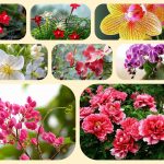 Dịch vụ điều chỉnh giấy chứng nhận đầu tư tại Quận Bình Thủy 6 Muốn điều chỉnh giấy chứng nhận đầu tư tại Quận Bình thủy