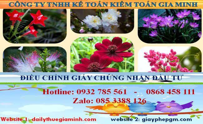 Dịch vụ điều chỉnh giấy chứng nhận đầu tư tại Quận Bình Thủy 4 Thủ tục điều chỉnh giấy chứng nhận đầu tư tại Quận Bình Thủy