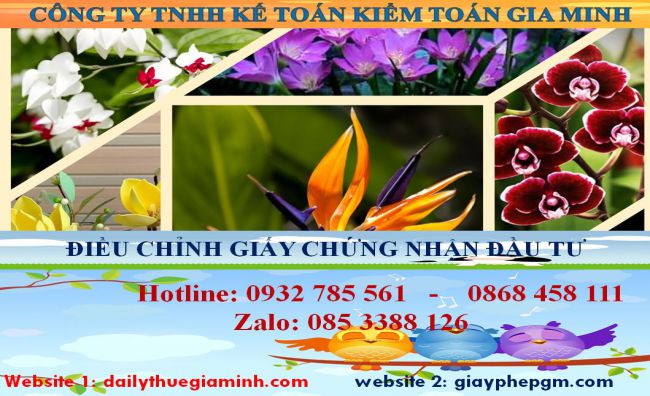 Dịch vụ điều chỉnh giấy chứng nhận đầu tư tại Quận Cái Răng 4 Thủ tục điều chỉnh giấy chứng nhận đầu tư tại Quận Cái Răng