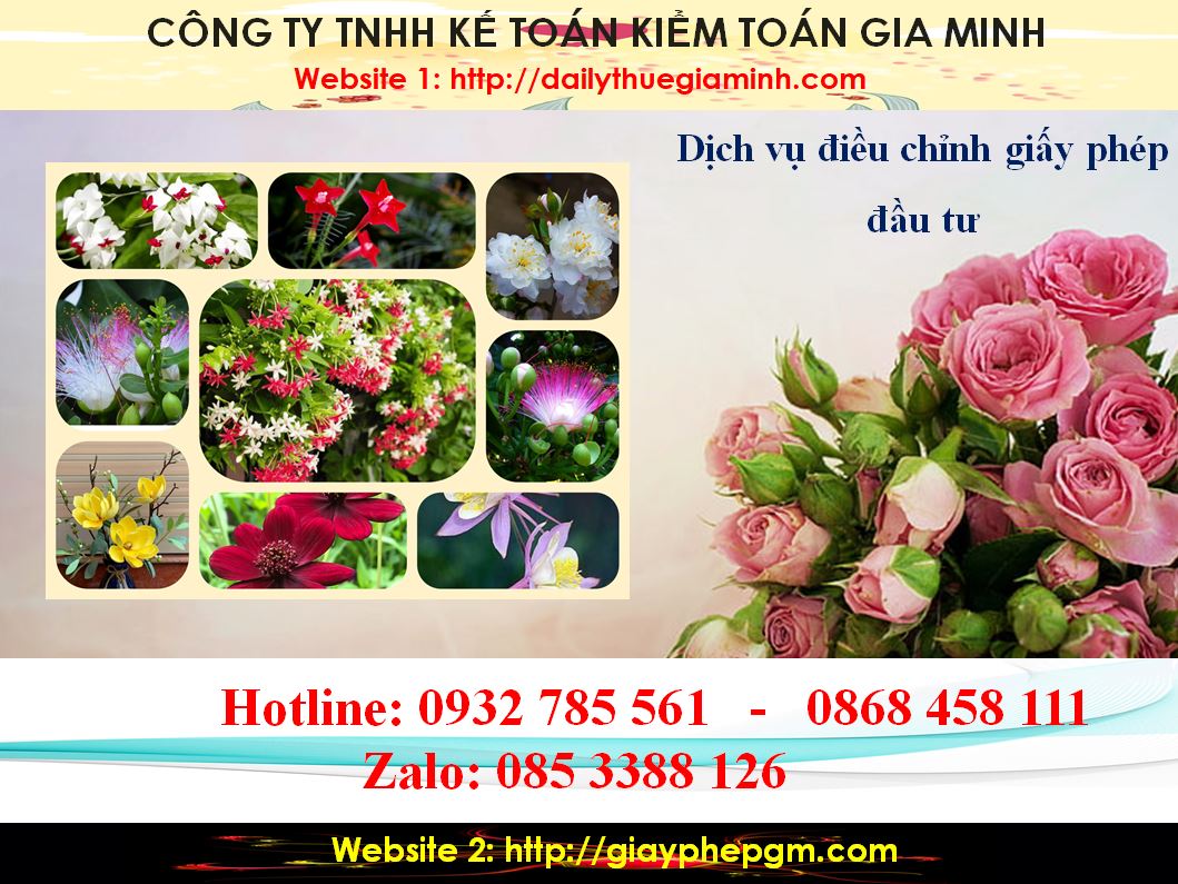 Dịch vụ điều chỉnh giấy chứng nhận đầu tư tại Quận Gò Vấp 4 Thủ tục điều chỉnh giấy chứng nhận đầu tư tại Quận Gò Vấp