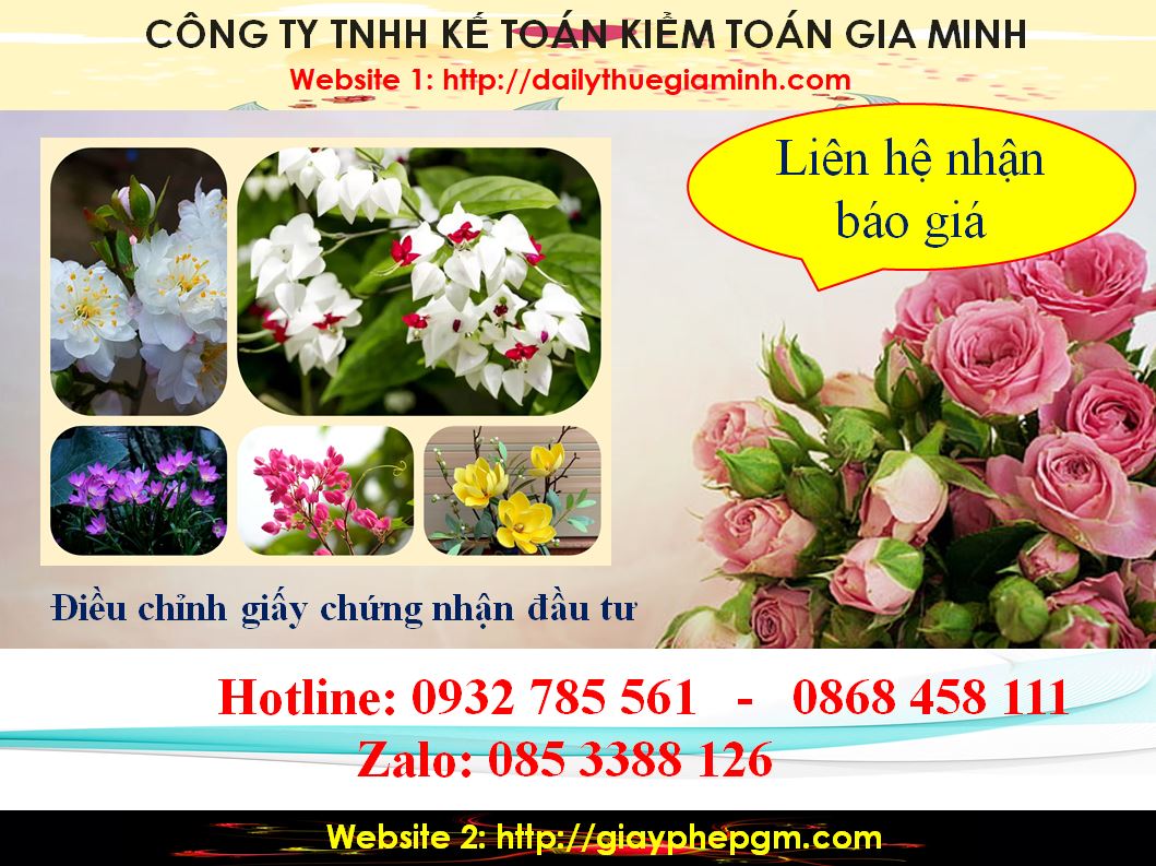 Dịch vụ điều chỉnh giấy chứng nhận đầu tư tại Quận Gò Vấp 5 Chi phí điều chỉnh giấy chứng nhận đầu tư tại Quận Gò Vấp