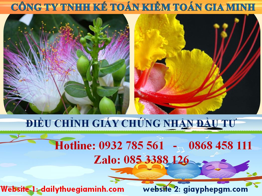 Dịch vụ điều chỉnh giấy chứng nhận đầu tư tại Quận Ninh Kiều 4 Thủ tục điều chỉnh giấy chứng nhận đầu tư tại Quận Ninh Kiều