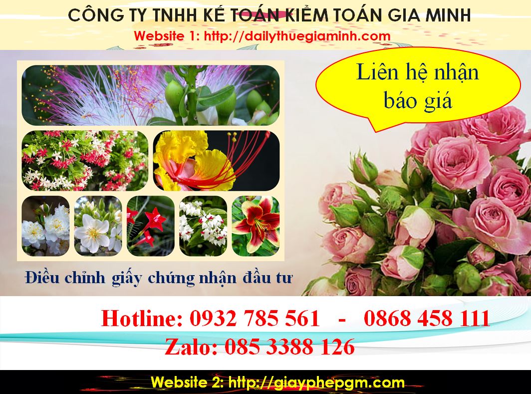 Dịch vụ điều chỉnh giấy chứng nhận đầu tư tại Quận Ninh Kiều 5 Chi phí điều chỉnh giấy chứng nhận đầu tư tại Quận Ninh Kiều