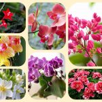 Dịch vụ điều chỉnh giấy chứng nhận đầu tư tại Quận Ô Môn 6 Muốn điều chỉnh giấy chứng nhận đầu tư tại Quận Ô Môn