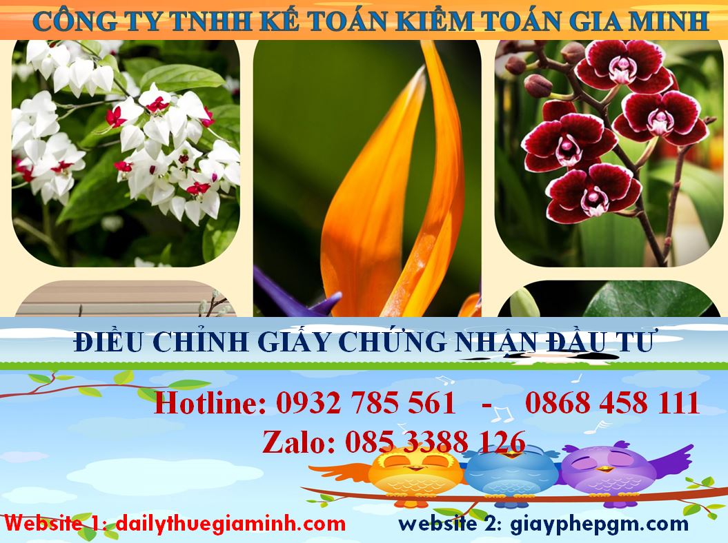 Dịch vụ điều chỉnh giấy chứng nhận đầu tư tại Quận Ô Môn 4 Thủ tục điều chỉnh giấy chứng nhận đầu tư tại Quận Ô Môn