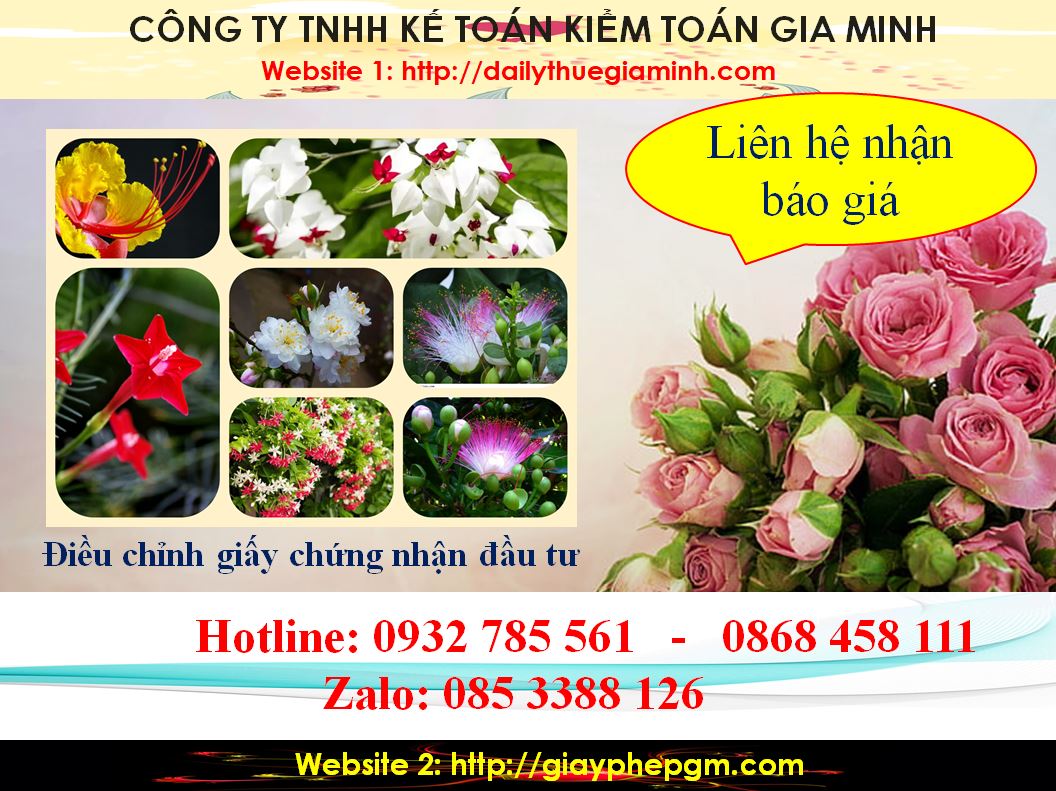 Dịch vụ điều chỉnh giấy chứng nhận đầu tư tại Quận Ô Môn 5 Chi phí điều chỉnh giấy chứng nhận đầu tư tại Quận Ô Môn