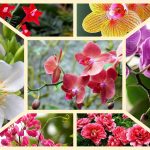 Dịch vụ điều chỉnh giấy chứng nhận đầu tư tại Quận Thốt Nốt 6 Muốn điều chỉnh giấy chứng nhận đầu tư tại Quận Thốt Nốt