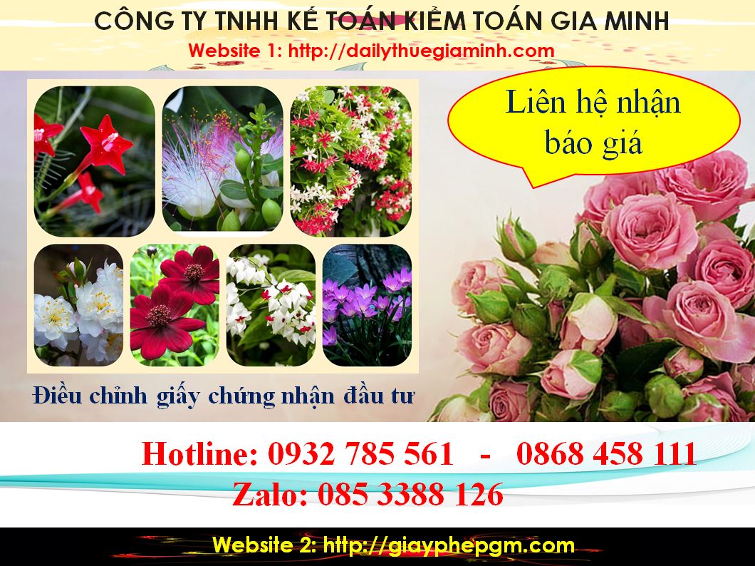 Dịch vụ điều chỉnh giấy chứng nhận đầu tư tại Quận Thốt Nốt 5 Chi phí điều chỉnh giấy chứng nhận đầu tư tại Quận Thốt Nốt