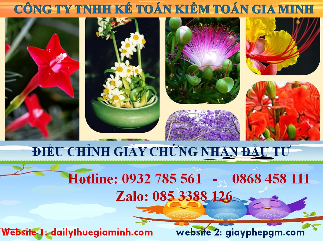 Dịch vụ điều chỉnh giấy chứng nhận đầu tư tại Quận Thốt Nốt 4 Thủ tục điều chỉnh giấy chứng nhận đầu tư tại Quận Thốt Nốt