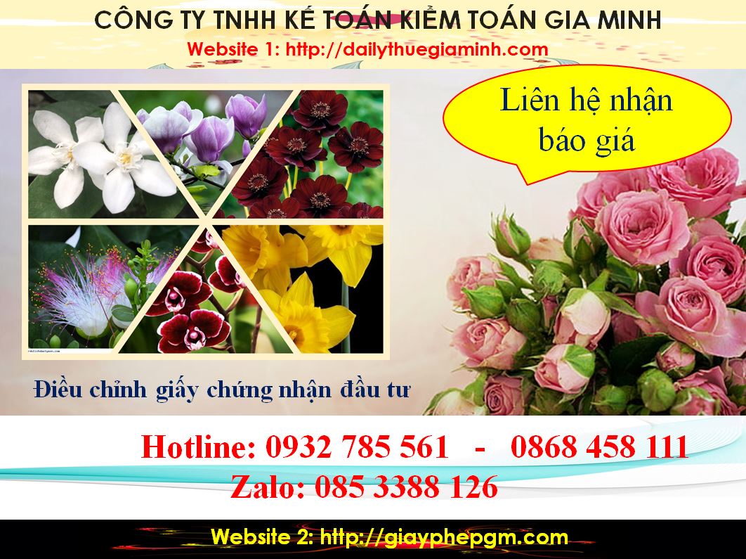 Dịch vụ điều chỉnh giấy chứng nhận đầu tư tại Quận Thủ Đức 5 Chi phí điều chỉnh giấy chứng nhận đầu tư tại Quận Thủ Đức