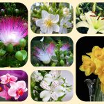 Dịch vụ điều chỉnh giấy chứng nhận đầu tư tại Quận Thủ Đức 6 Muốn điều chỉnh giấy chứng nhận đầu tư tại Quận Thủ Đức