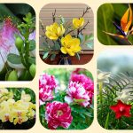 Dịch vụ điều chỉnh giấy chứng nhận đầu tư tại Quảng Bình 6 Muốn điều chỉnh giấy chứng nhận đầu tư tại Quảng Bình