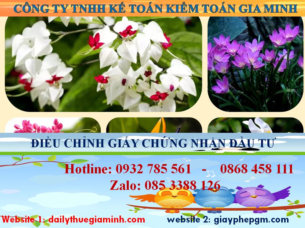 Dịch vụ điều chỉnh giấy chứng nhận đầu tư tại Quảng Bình 4 Thủ tục điều chỉnh giấy chứng nhận đầu tư tại Quảng Bình