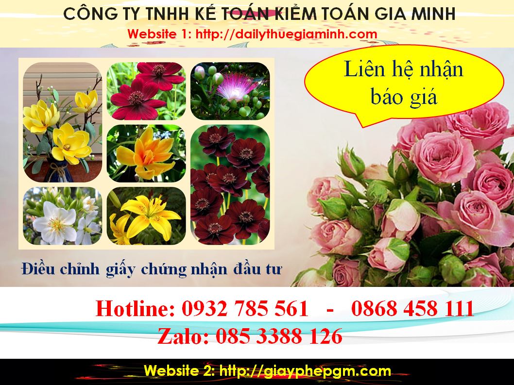 Dịch vụ điều chỉnh giấy chứng nhận đầu tư tại Quảng Bình 5 Chi phí điều chỉnh giấy chứng nhận đầu tư tại Quảng Bình