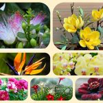 Dịch vụ điều chỉnh giấy chứng nhận đầu tư tại Quảng Nam 6 Muốn điều chỉnh giấy chứng nhận đầu tư tại Quảng Nam