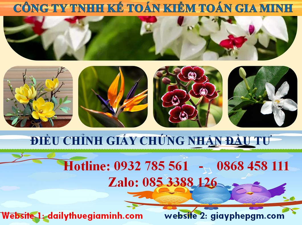 Dịch vụ điều chỉnh giấy chứng nhận đầu tư tại Quảng Nam 4 Thủ tục điều chỉnh giấy chứng nhận đầu tư tại Quảng Nam