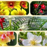 Dịch vụ điều chỉnh giấy chứng nhận đầu tư tại Sơn La 6 Muốn điều chỉnh giấy chứng nhận đầu tư tại Sơn La