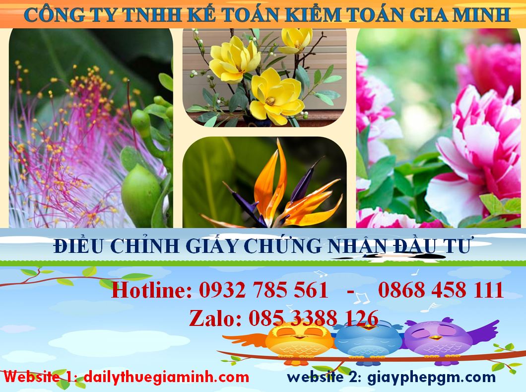 Dịch vụ điều chỉnh giấy chứng nhận đầu tư tại Sơn La 4 Thủ tục điều chỉnh giấy chứng nhận đầu tư tại Sơn La
