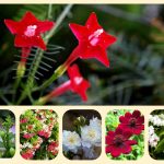 Dịch vụ điều chỉnh giấy chứng nhận đầu tư tại Thành phố Hà Nội 6 Muốn điều chỉnh giấy chứng nhận đầu tư tại Thành phố Hà Nội