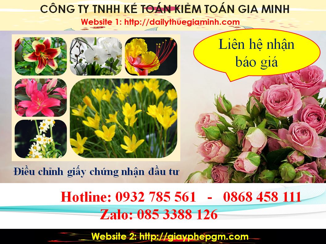 Dịch vụ điều chỉnh giấy chứng nhận đầu tư tại Quận Bình Thủy 5 Chi phí điều chỉnh giấy chứng nhận đầu tư tại Quận Bình Thủy