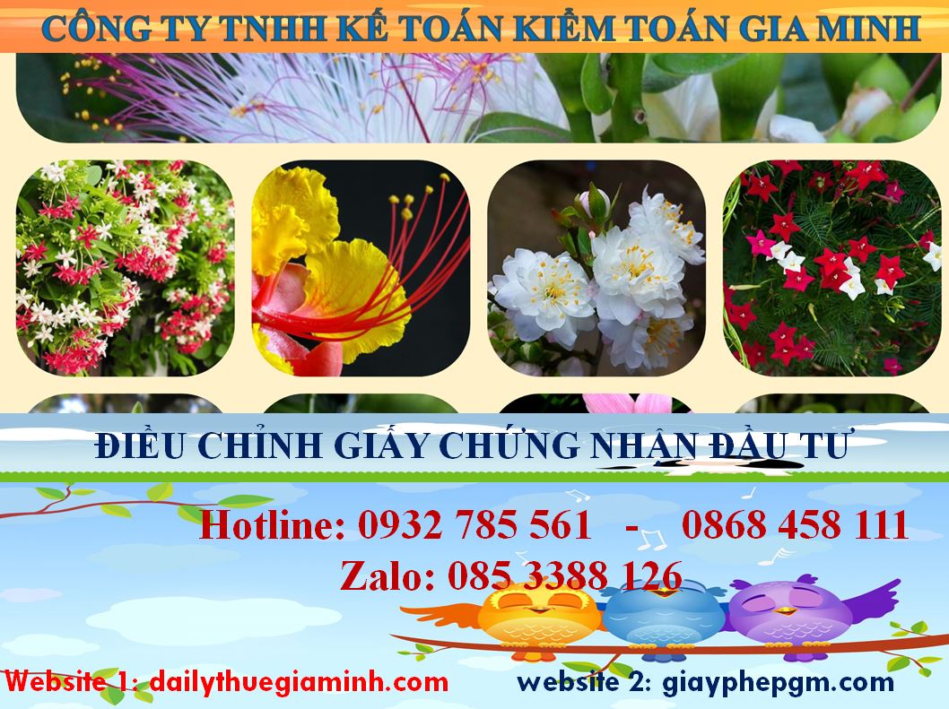 Dịch vụ điều chỉnh giấy chứng nhận đầu tư tại TP Cần Thơ 4 Thủ tục điều chỉnh giấy chứng nhận đầu tư tại TP Cần Thơ