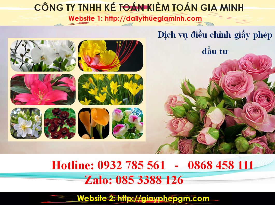 Dịch vụ điều chỉnh giấy chứng nhận đầu tư tại Thành phố Hồ Chí Minh 4 Thủ tục điều chỉnh giấy chứng nhận đầu tư tại Thành phố Hồ Chí Minh