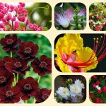 Dịch vụ điều chỉnh giấy chứng nhận đầu tư tại Thành phố Hồ Chí Minh 6 Muốn điều chỉnh giấy chứng nhận đầu tư tại Thành phố Hồ Chí Minh