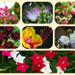  Muốn điều chỉnh giấy chứng nhận đầu tư tại TP HCM