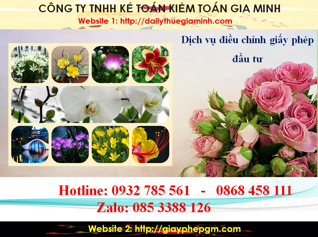 Thủ tục điều chỉnh giấy chứng nhận đầu tư tại TP HCM