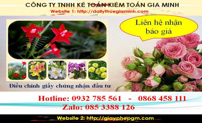Chi phí điều chỉnh giấy chứng nhận đầu tư tại TP HCM