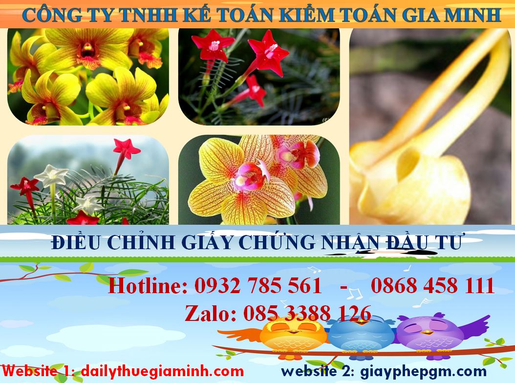 Dịch vụ điều chỉnh giấy chứng nhận đầu tư tại Tuyên Quang 4 Thủ tục điều chỉnh giấy chứng nhận đầu tư tại Tuyên Quang