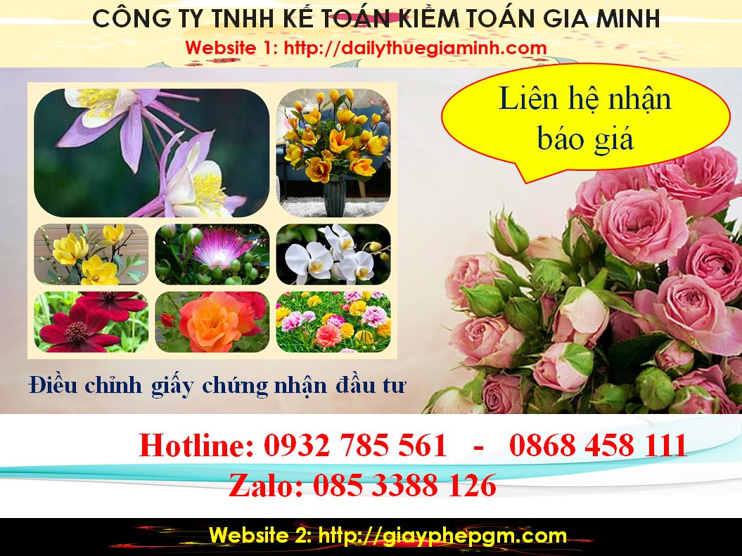 Dịch vụ điều chỉnh giấy chứng nhận đầu tư tại Tuyên Quang 5 Chi phí điều chỉnh giấy chứng nhận đầu tư tại Tuyên Quang