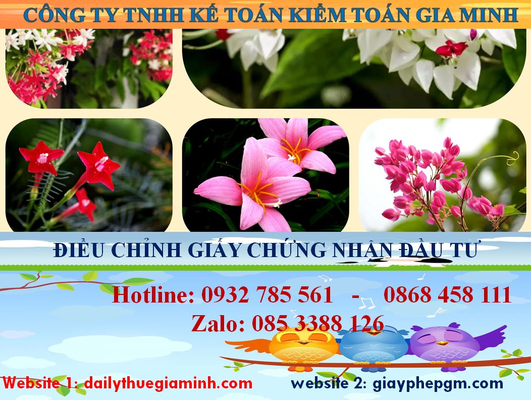 Dịch vụ điều chỉnh giấy chứng nhận đầu tư tại Vĩnh Phúc 5 Chi phí điều chỉnh giấy chứng nhận đầu tư tại Vĩnh Phúc