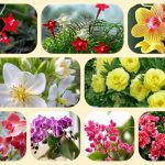 Dịch vụ điều chỉnh giấy chứng nhận đầu tư tại Yên Bái 6 Muốn điều chỉnh giấy chứng nhận đầu tư tại Yên Bái