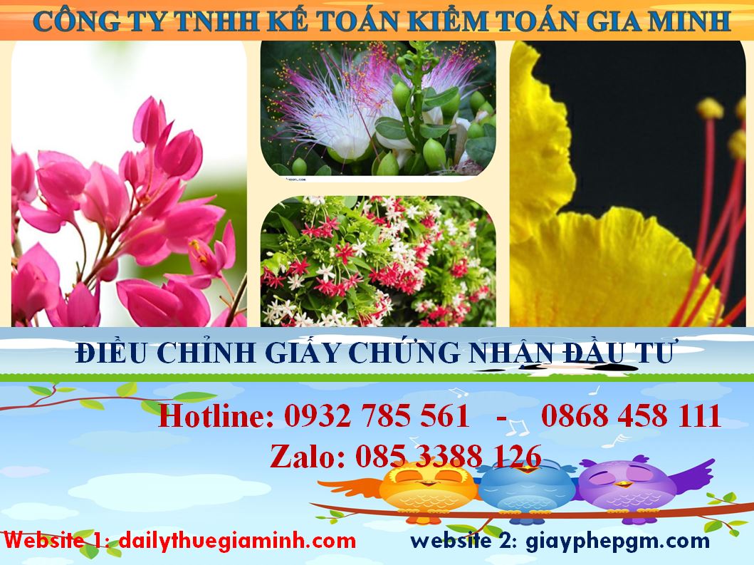 Dịch vụ điều chỉnh giấy chứng nhận đầu tư tại Yên Bái 4 Thủ tục điều chỉnh giấy chứng nhận đầu tư tại Yên Bái