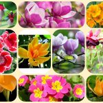 Dịch vụ giải thể chi nhánh tại Điện Biên 8 Muốn giải thể chi nhánh tại Điện Biên