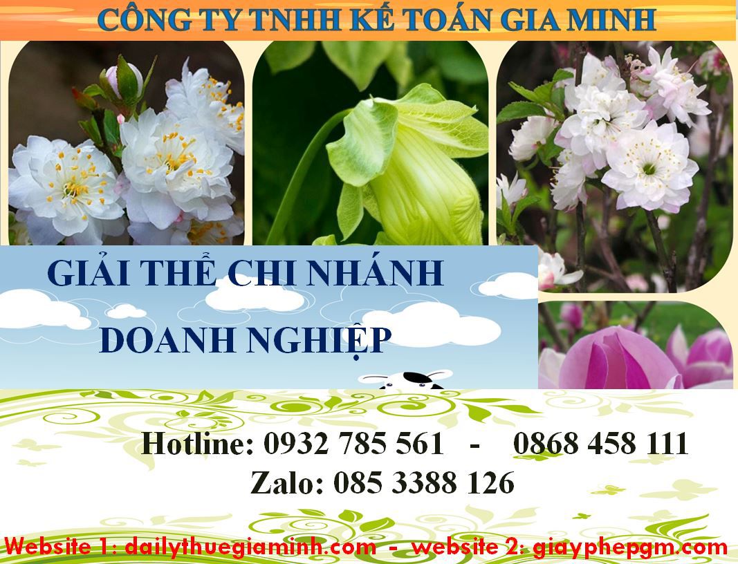 Dịch vụ giải thể chi nhánh tại Điện Biên 5 Thủ tục giải thể chi nhánh tại Điện Biên