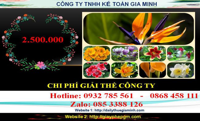 Dịch vụ giải thể chi nhánh tại Điện Biên 6 Chi phí giải thể chi nhánh tại Điện Biên