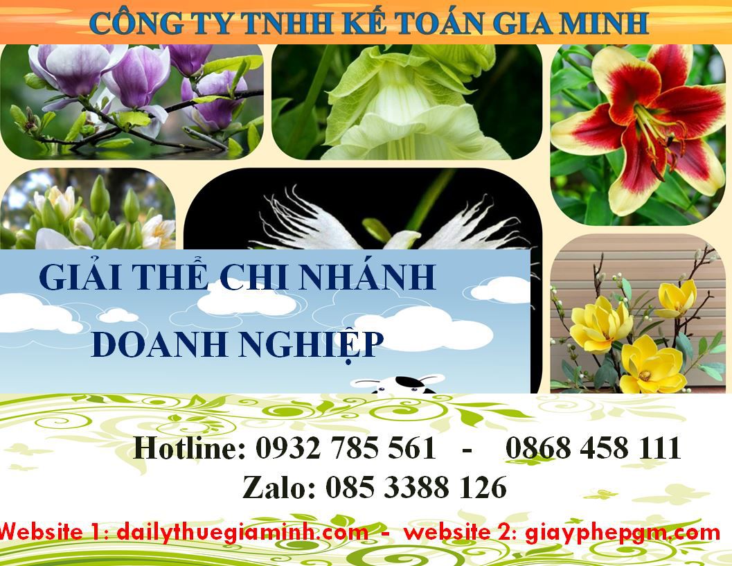 Dịch vụ giải thể chi nhánh tại Hải Phòng 5 Thủ tục giải thể chi nhánh tại Hải Phòng