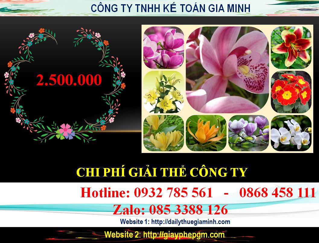 Dịch vụ giải thể chi nhánh tại Hải Phòng 6 Chi phí giải thể chi nhánh tại Hải Phòng