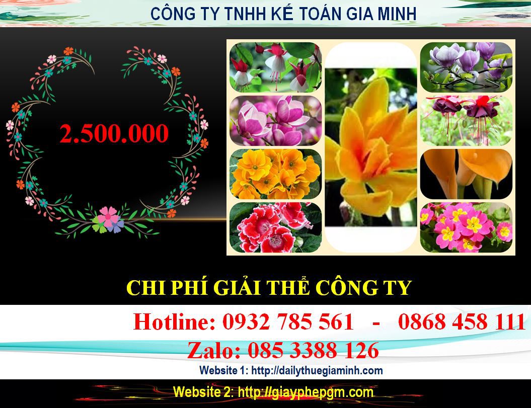 Dịch vụ giải thể chi nhánh tại Kiên Giang 11 Chi phí giải thể chi nhánh tại Kiên Giang