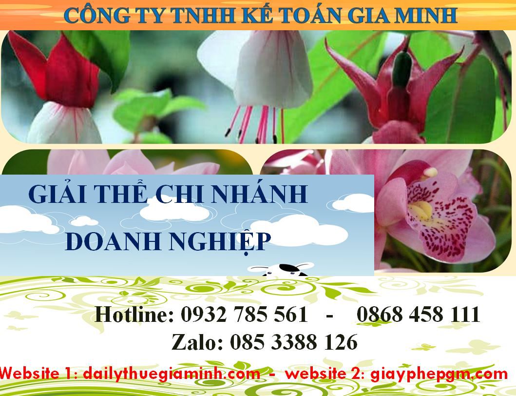 Dịch vụ giải thể chi nhánh tại Kiên Giang 8 Thủ tục giải thể chi nhánh tại Kiên Giang