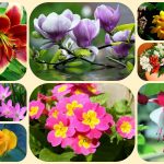 Dịch vụ giải thể chi nhánh tại Ninh Thuận nhanh chóng, uy tín 10 Muốn giải thể chi nhánh tại Ninh Thuận